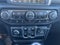 2019 Jeep Wrangler Unlimited Sahara 4WD ColdWx LED-LightingGroup w/AdptvCrz Nav HtdLthr HtdSteeringWhl 3-PieceHardtop